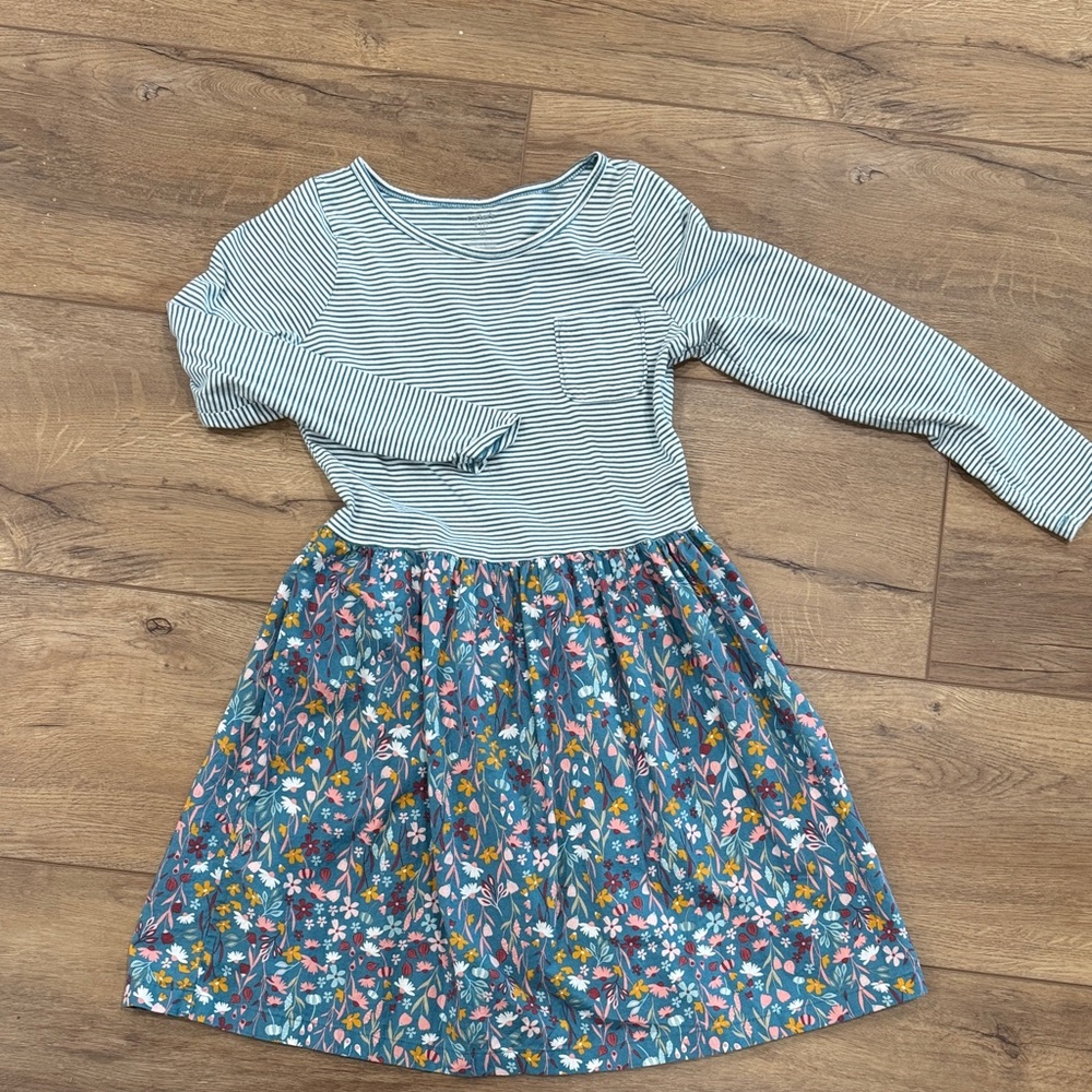 Carter's Blue Striped Top Floral Skirt Long-Sleeve Kids Dress